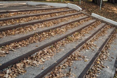 Stairs with autumn leaves. Stairs in the fall with leaves. Autumn in the parkの写真素材