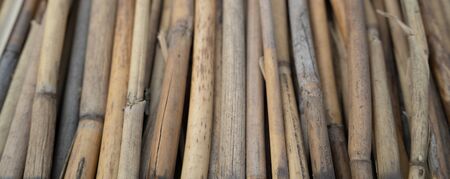 Texture of bamboo rods. A background with copy space
