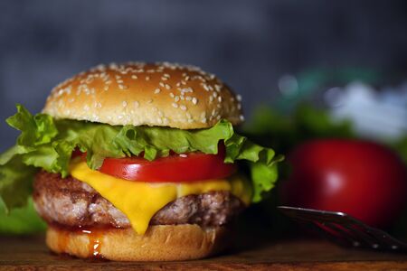 Tasty grilled burger with with beef, cheese, vegetables. Delicious grilled Cheeseburger. Free space for textの写真素材