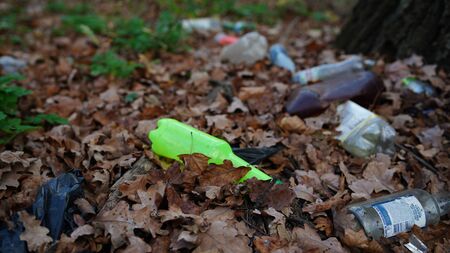 The concept of environmental pollution, environmental problems of nature.