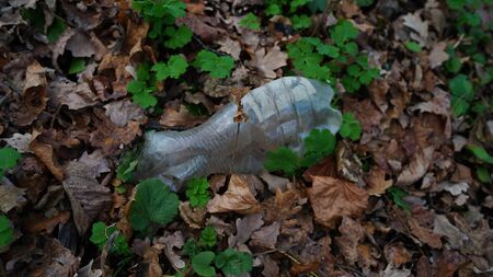 The concept of environmental pollution, environmental problems of nature.