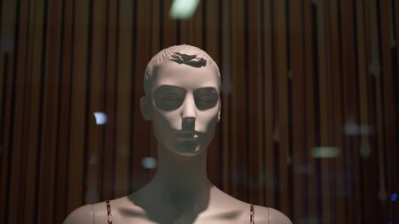 A mannequin stands in the window of a clothing store.