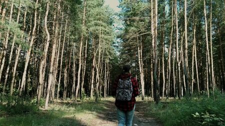 Back view of young female with ornamental backpack walking along path in quiet autumn parkの写真素材