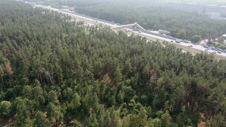 Aerial view of cars are moving through the forest on the road in the summer.