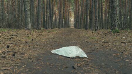 Cellophane bag on ground in forest. Concept of environmental pollutionの写真素材