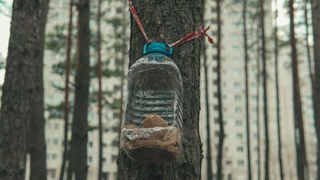 Close-up of house from large bottle for birds on tree trunk.の写真素材