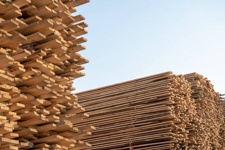 Pine wood timber stack of natural rough wooden boards on building site. Industrial timber building...