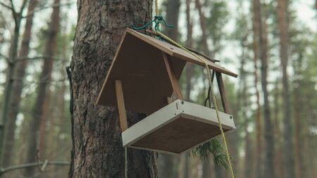 Close-up of house for birds on branch of tree trunk.