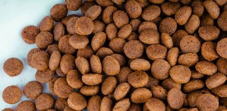 Dry food in right corner on white background. Close up of useful pet food. Concept of space for your...