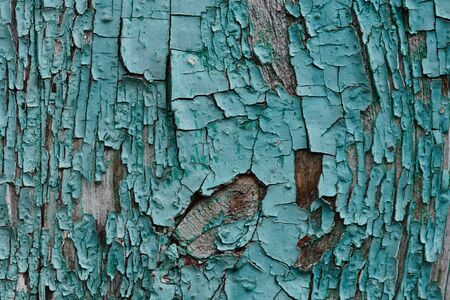 Backdrop of green colored wooden panels with aged flaky surfaceの写真素材
