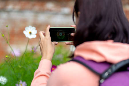Female tourist photographing flowers on mobile phone in park.の写真素材