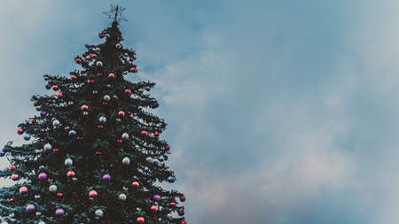 Christmas tree on evening street. Low angle of coniferous tree with traditional Christmas decorations located on street in evening in city.の写真素材