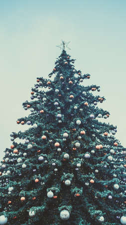 Christmas tree on evening street. Low angle of coniferous tree with traditional Christmas decorations located on street in evening in city.の写真素材