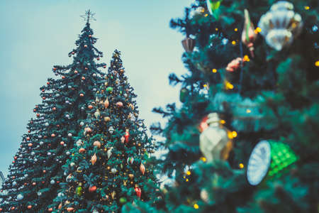 Christmas tree on evening street. Low angle of coniferous tree with traditional Christmas decorations located on street in evening in city.の写真素材