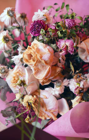 Close up of wilted flowers. Texture of different withered flowersの写真素材
