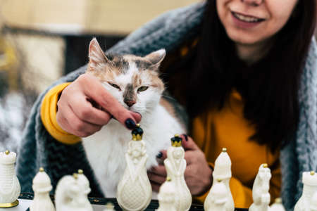 Young woman sitting with cat and playing chess in yard. Female wrapped in gray plaid sitting on street with pet and playing in board game in winter seasonの写真素材