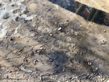 Close up of puddle and dirty ground in early spring. Concept of dirty and slushy weather
