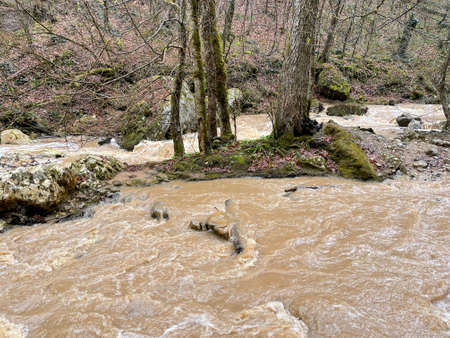 Beautiful landscape of mountain river in amazing and mysterious nature. Mountain waterway flowing through mountainous terrainの写真素材