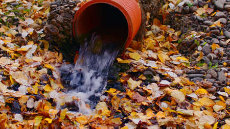 Water flowing from drainpipe in autumn season. Downspout with flowing water in surrounded by autumn leaves.の写真素材