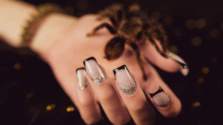 Young girls hand with manicure and big spider on black background. Crop unrecognizable person with design on nails. Concept of care and beauty.の写真素材