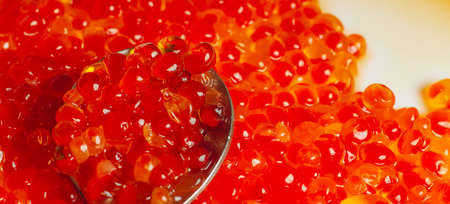 Spoon with fresh red caviar Trout caviar closeup. Russian delicacy.の写真素材