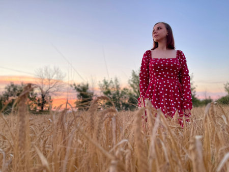 Young woman in red dress standing in wheat field at sunsetの写真素材