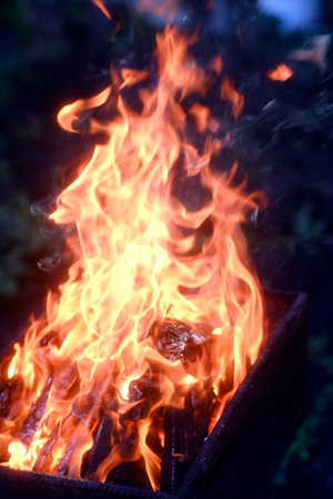 Bright fire in chargrill. close up. Burning firewood in chargrill. strong flame. Concept of picnic...