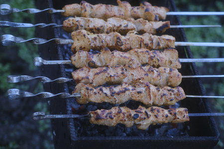 Delicious meat skewers on brazier during picnic.の写真素材