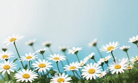 Beautiful daisies on a blue background, copy space. Generative AI.の素材