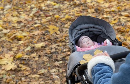 Cute baby girl sleeping in a stroller in the autumn park