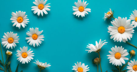 Beautiful daisies on a blue background, copy space.の素材