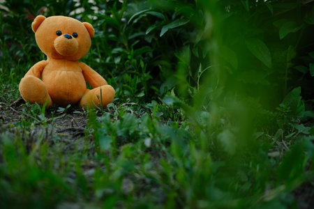 A plush teddy bear with vibrant orange fur is placed on the ground amidst lush green grass and plants enjoying the sunny atmosphere of a peaceful garden.の写真素材