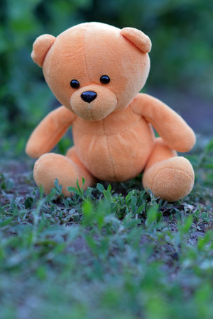 A plush teddy bear with vibrant orange fur is placed on the ground amidst lush green grass and plants enjoying the sunny atmosphere of a peaceful garden.の写真素材