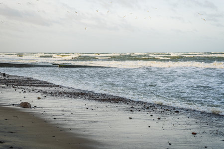 Waves softly roll onto a sandy beach scattered with smooth pebbles capturing the early morning light...