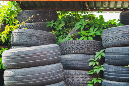 A collection of worn tires is stacked neatly in a recycling yard Lush green vines intertwine with...
