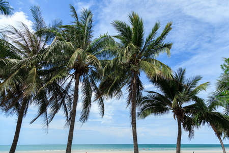 Hua hin beach Thailandの写真素材