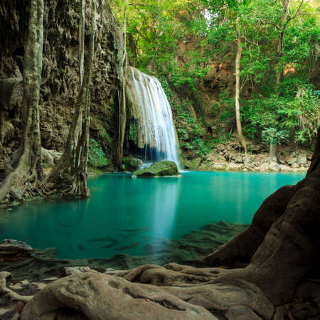 Deep forest waterfall at Erawan waterfall National Park Kanjanaburi Thailandの写真素材