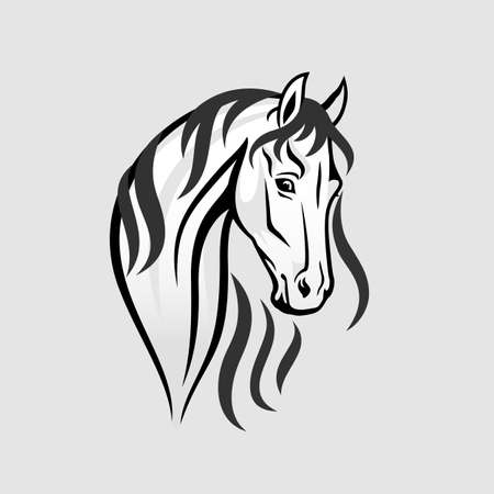 The Horse head in black and white Illustrationのイラスト素材