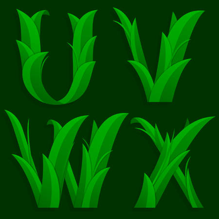 Decorative Grass Initial Letters U, V, W, X. Vector illustration of alphabet letters in caps, the U, V, W, X in the grass design over a dark green background.のイラスト素材