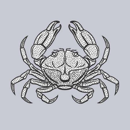Vector illustration of crab in vintage style isolated on a grey background.のイラスト素材