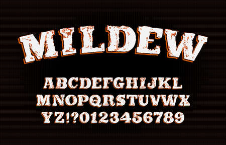 Mildew alphabet font. Messy vintage letters and numbers. Vector typescript for your typography design.のイラスト素材