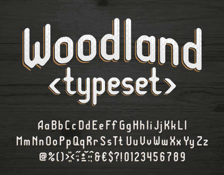 Woodland alphabet font. Vintage letters, numbers and punctuations. Uppercase and lowercase. Stock vector typescript for your typography design.のイラスト素材