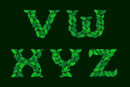 Letters V, W, X, Y, Z made of green leaves. Stock vector illustration for your design.のイラスト素材