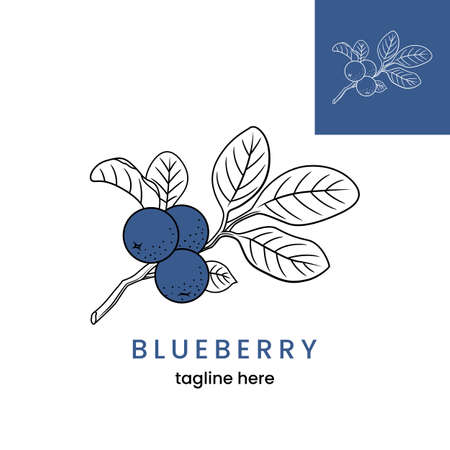 Blueberry  template. Hand drawn blueberry branch. Stock vector emblem.のイラスト素材