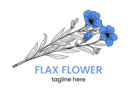 Flax  template. Hand drawn flower. Stock vector emblem.のイラスト素材