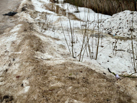 Melting dirty snow on the streets of the city in the daytime. Garbage in the snow.の写真素材