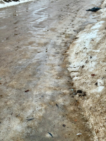 Melting dirty snow on the streets of the city in the daytime. Garbage in the snow.の写真素材