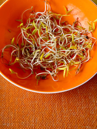 Micro greens. Sprouted mung beans, green mung beans in a plastic yellow bowl on the table. Healthy food for microgreens and vegans.の写真素材