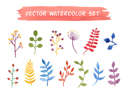 Vector watercolor floral set. Spring or summer design for invitation, wedding or greeting cardsのイラスト素材