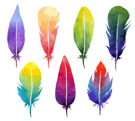 Vector watercolor feather set. Great for decorating cards, wedding invitations.のイラスト素材